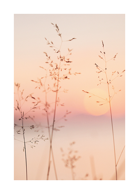  – Fotografie eines pastellfarbenen Himmels und der Sonne mit filigranen Grashalmen im Vordergrund
