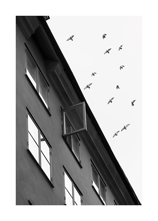  – Schwarz-weiß-Fotografie eines Vogelschwarms, der über ein Gebäude mit einem offenen Fenster fliegt