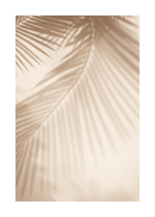  – Fotografie mit den Schatten von Palmblättern an einer Wand mit rauer Struktur in Hellbeige