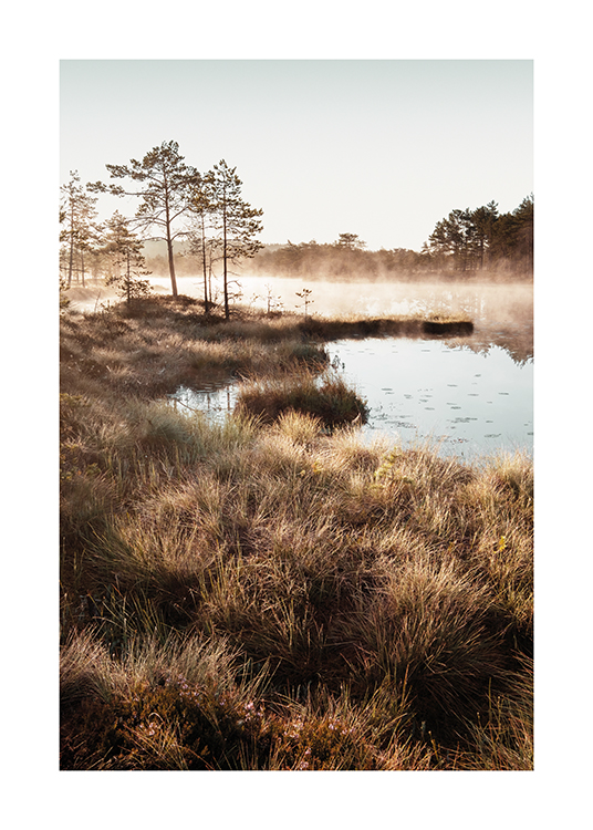  – Fotografie von einem kleinen, von Gras umgebenen Teich mit Bäumen und Nebel im Hintergrund