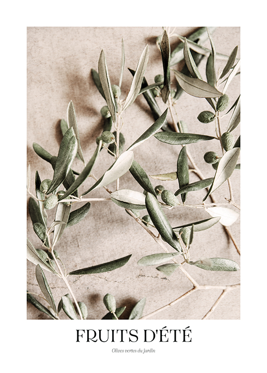  – Fotografie von grünen Oliven auf Olivenzweigen vor einem Steinhintergrund in Beige