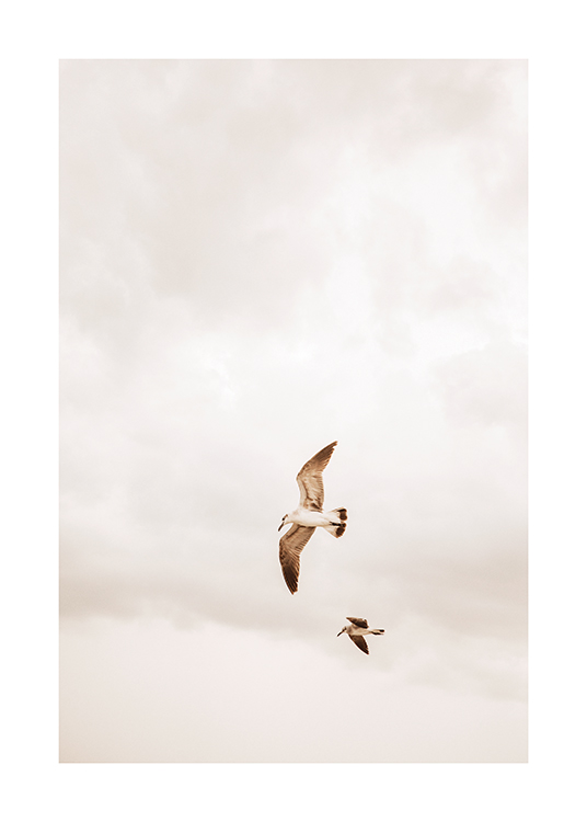  – Bild von zwei Vögeln, die an einem bewölkten Himmel fliegen