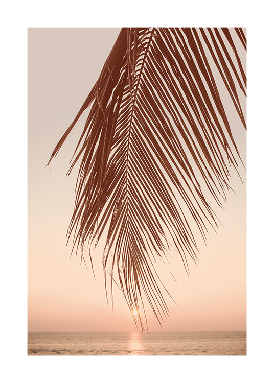  – Bild eines Palmblatts auf rosa Hintergrund