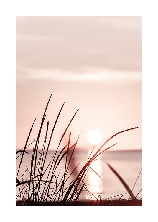  – Fotografie, die Gras vor einem pastellrosa Himmel bei Sonnenuntergang zeigt