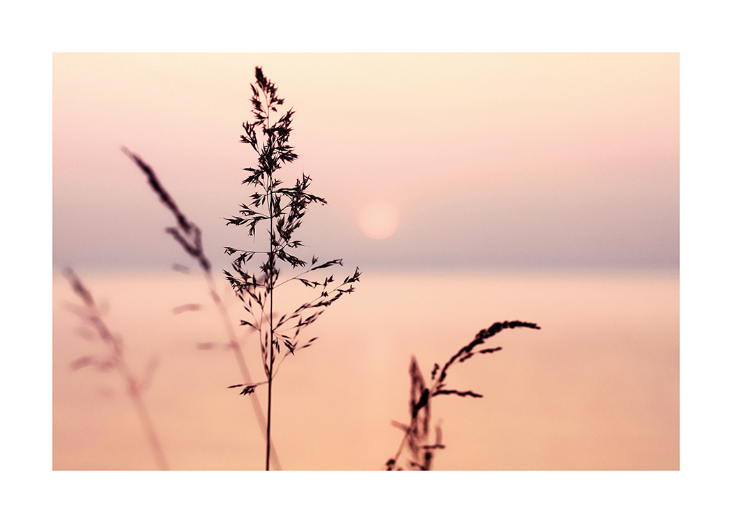  – Fotografie, die einen lila und rosa Sonnenuntergang mit Gras im Vordergrund zeigt