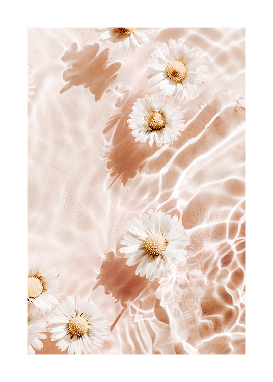  – Fotografie, die weiße, in Wasser schwimmende Blumen vor einem hellrosa Hintergrund zeigt