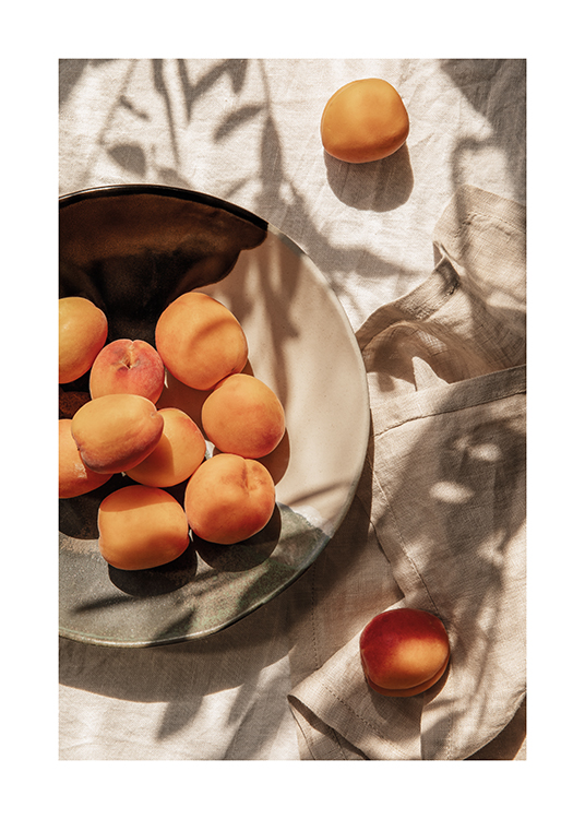  – Teller mit frisch gepflückten Aprikosen auf einem Esstisch