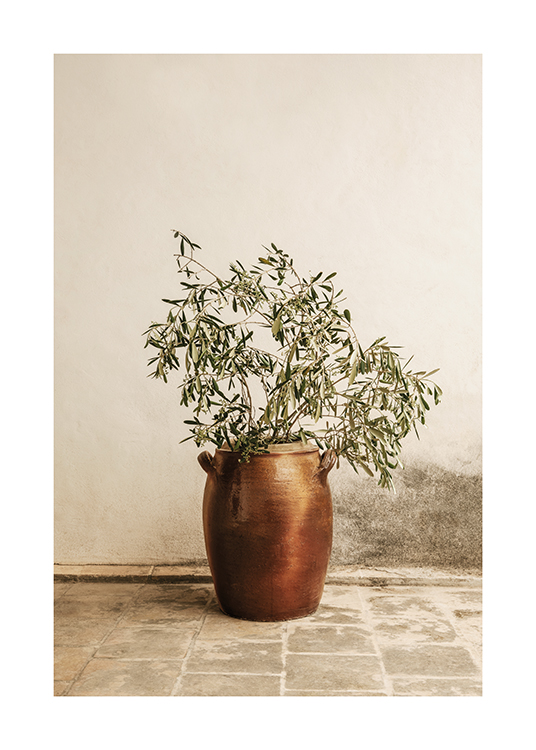  – Olivenzweig in einer Vase