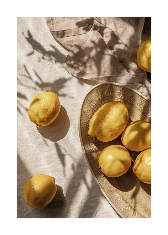  – Teller mit frisch gepflückten Zitronen auf einem Esstisch