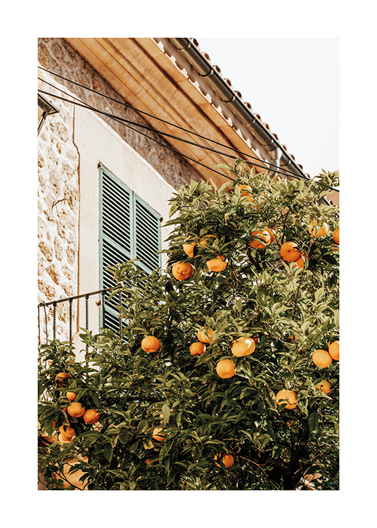  – Bild eines Orangenbaumes neben einem malerischen spanischen Haus