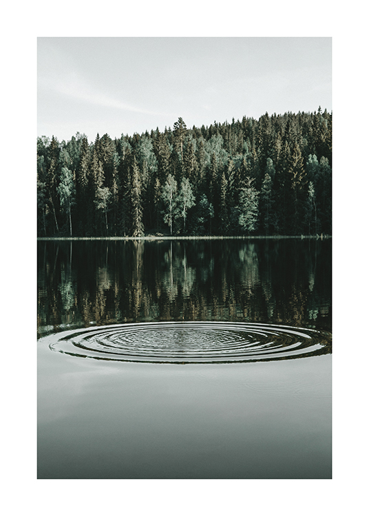  – Fotografie eines Sees mit Ringen auf dem Wasser und einem Wald im Hintergrund