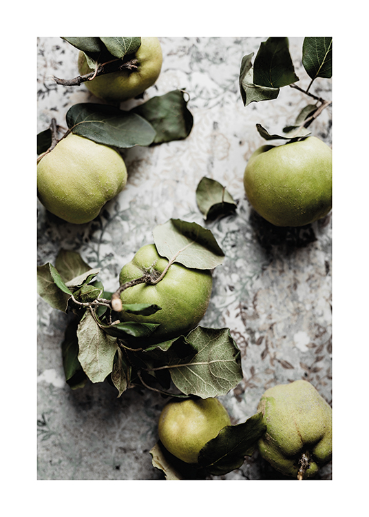  – Fotografie von grünen Quittenfrüchten mit Blättern, die auf einem grau gemusterten Hintergrund liegen