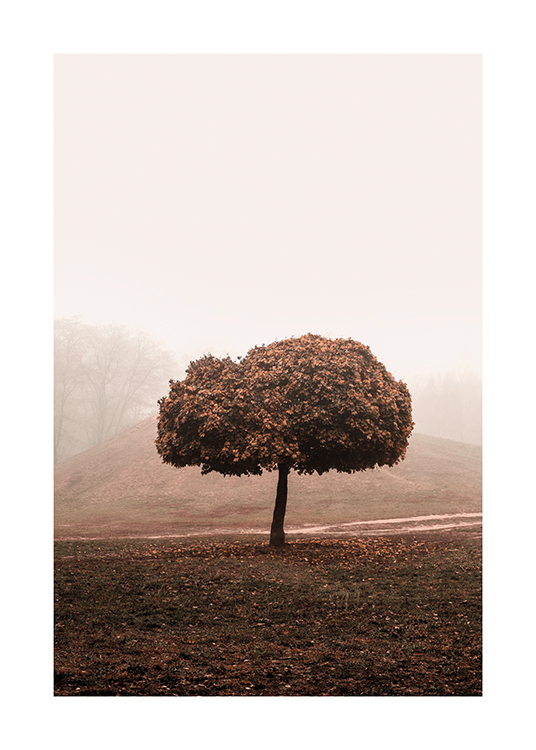  – Fotografie eines nebligen Feldes mit einem Baum mit großer Krone in der Mitte