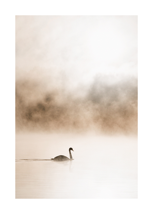  – Fotografie eines nebligen Sees mit einem Schwan, der auf dem Wasser gleitet, vor einem beigen Hintergrund