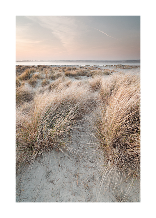  – Fotografie von Sanddünen mit Gras und einem pastellfarbenen Himmel sowie dem Meer im Hintergrund