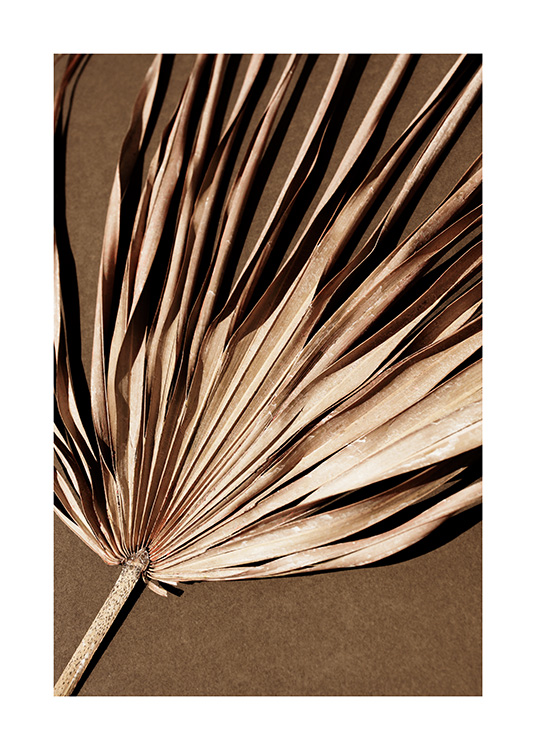  – Fotografie eines getrockneten, beigefarbenen Palmblatts mit Plissé-Effekt vor braunem Hintergrund