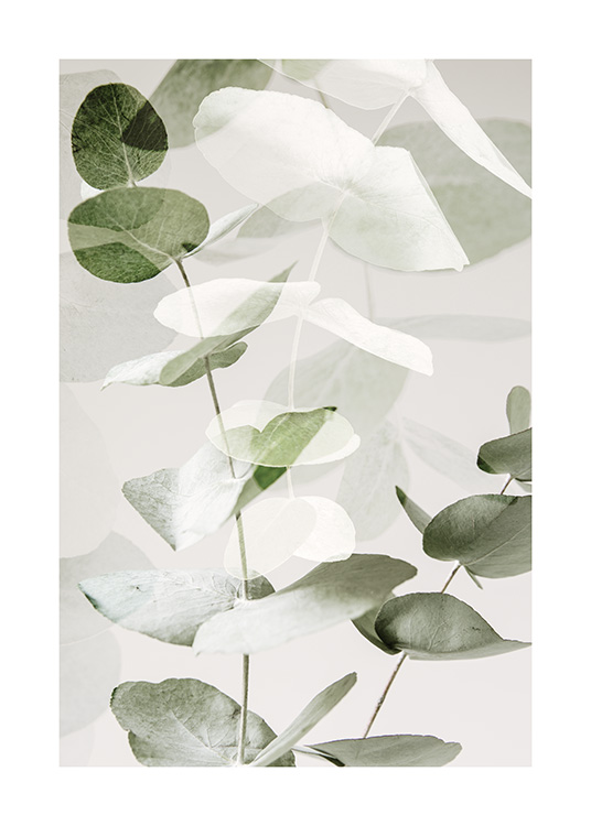 – Motiv mit klar sichtbarem und verblasstem Eukalyptus in Grün