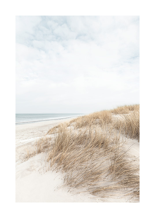 – Fotografie von Sanddünen am Wasser