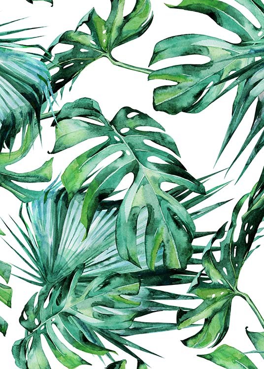  - Schlichtes Kunstposter mit einer Sammlung von Pflanzenblättern aus den Tropen und weißem Hintergrund