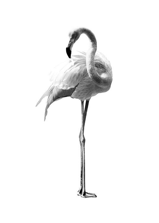  - Modernes Tierposter mit einem Flamingo in schwarzweiß auf weißem Hintergrund.