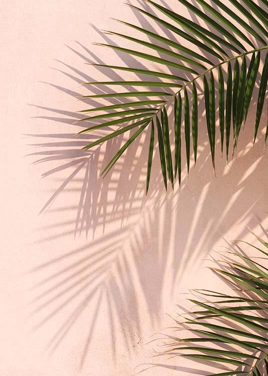 - Modernes Pflanzenposter mit Palmblättern, die einen Schatten an eine pinke Hauswand werfen.