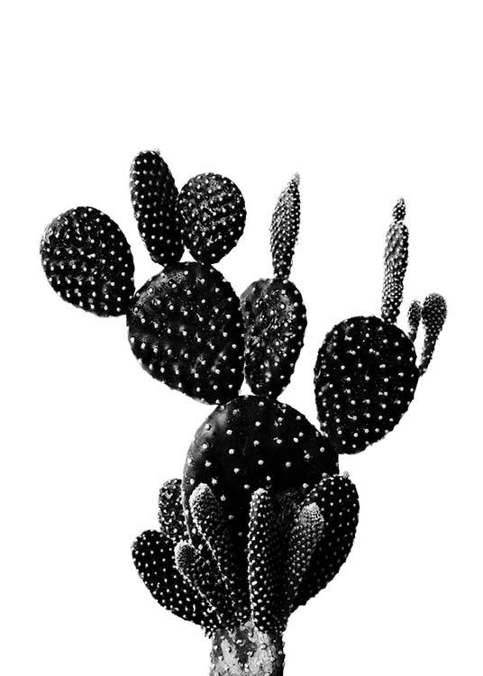 Black Cactus One Poster / Schwarz-Weiß bei Desenio AB (2429)