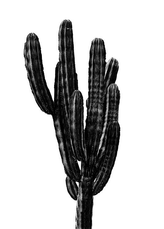  - Schönes Poster mit einem schwarzen Kaktus als Motiv  - passend für alle, die keinen grünen Daumen haben.