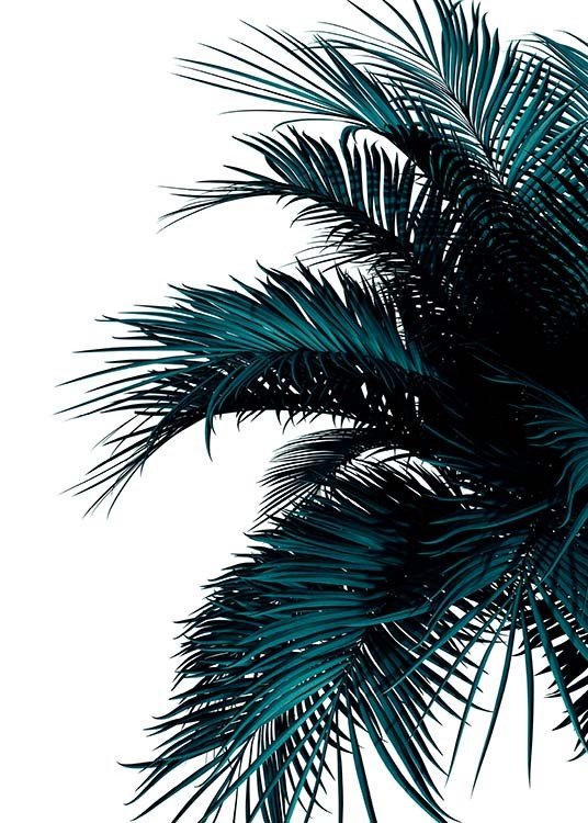 Green Palm Tree Poster / Botanik bei Desenio AB (2907)
