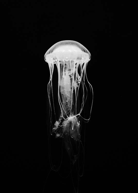 Jellyfish B&W Poster / Schwarz-Weiß bei Desenio AB (2917)