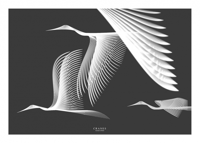 Cranes In Moiré Poster / Tiere bei Desenio AB (3223)