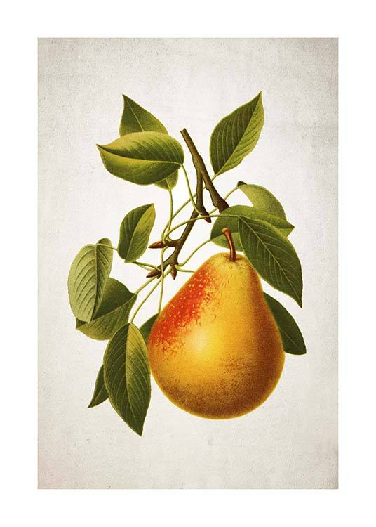 Pear Poster / Küchenposter bei Desenio AB (3515)