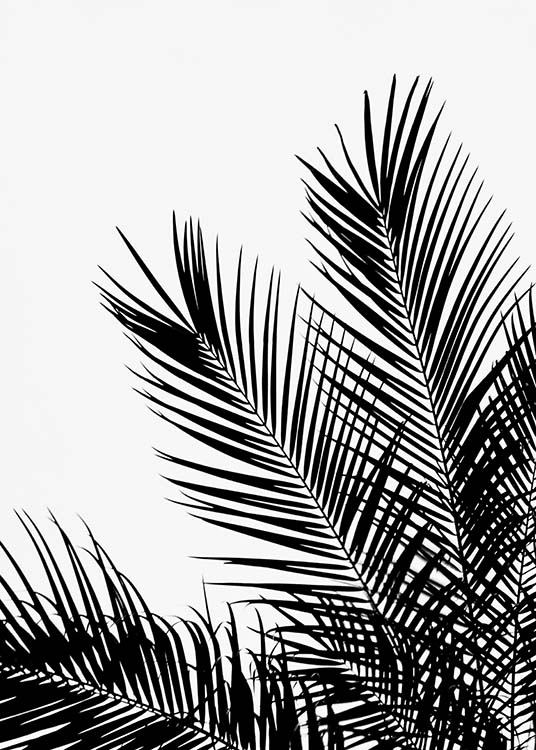 Black Palm Tree One Poster / Schwarz-Weiß bei Desenio AB (3523)