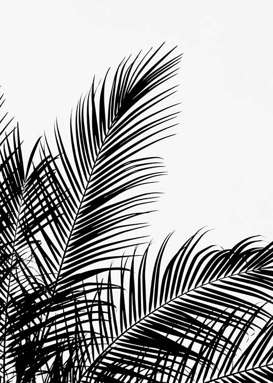 Black Palm Tree Two Poster / Schwarz-Weiß bei Desenio AB (3524)