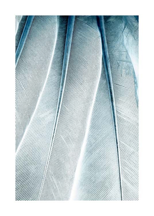 Feathers Close Up Poster / Fotografien bei Desenio AB (3539)