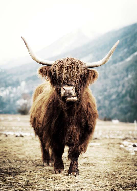  – Fotografie einer braunen Highland-Kuh auf einem Feld vor einer Berglandschaft