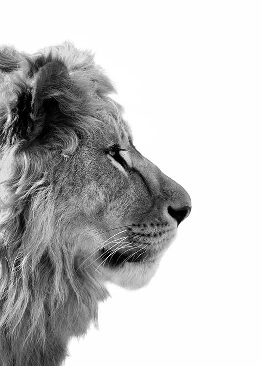  – Schwarz-weiß-Fotografie eines Löwen von der Seite