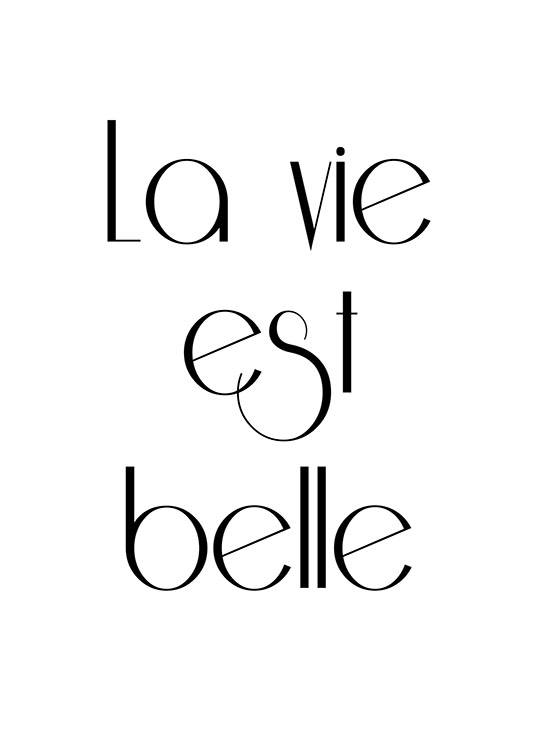 La Vie Est Belle, Poster / Schwarz-Weiß bei Desenio AB (7384)