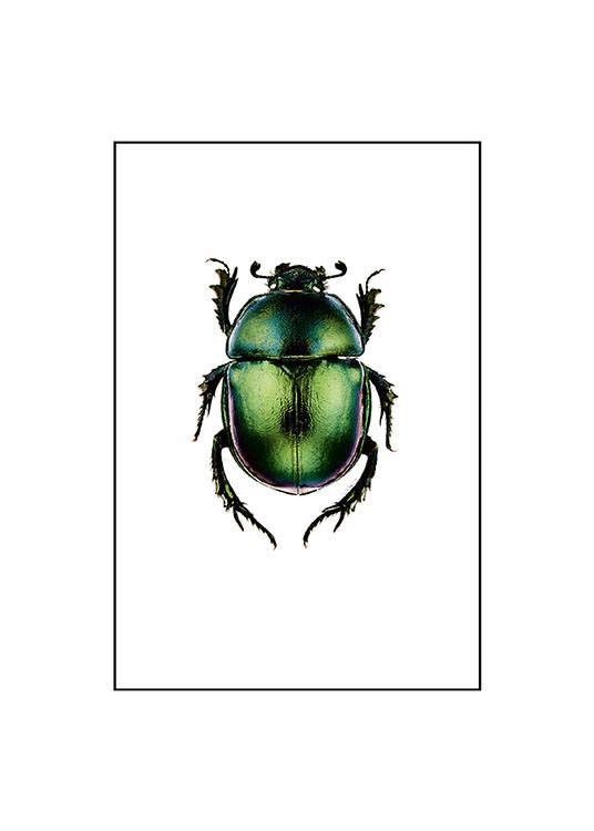 Beetle, Small / Vintage bei Desenio AB (7430)