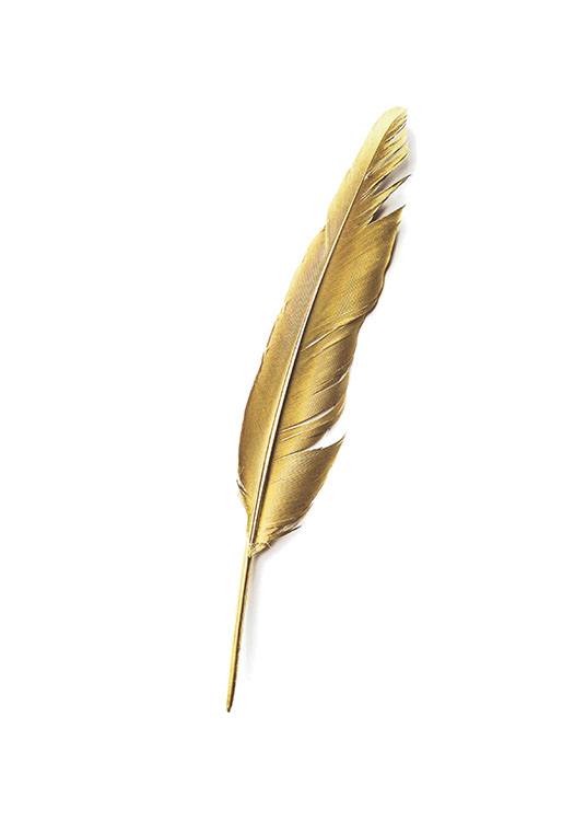 Gold Feather, Poster / Poster mit Sprüchen bei Desenio AB (7605)