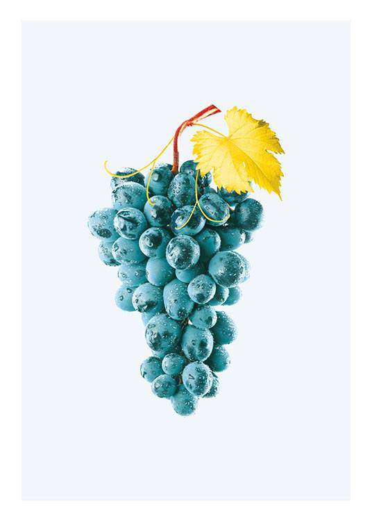 Blue Grapes, Poster / Kunstdrucke bei Desenio AB (8209)