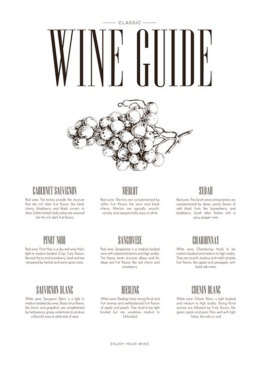 Wine Guide, Poster / Küchenposter bei Desenio AB (8228)