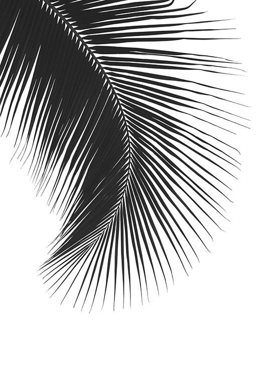Black Palm Leaf, Poster / Schwarz-Weiß bei Desenio AB (8242)