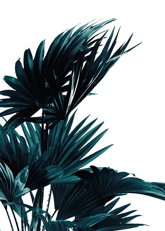 Palm Leaves, Poster / Botanik bei Desenio AB (8318)