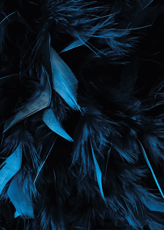 Blue Feathers, Poster / Fotografien bei Desenio AB (8483)