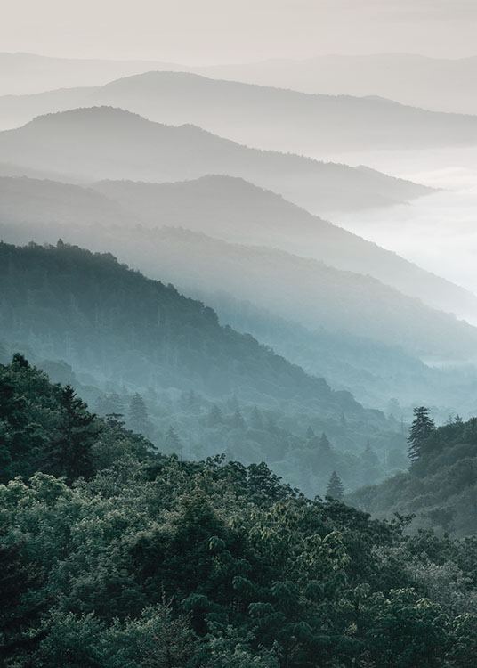  – Fotografie einer Landschaft mit Wäldern und Bergen mit Nebel im Hintergrund