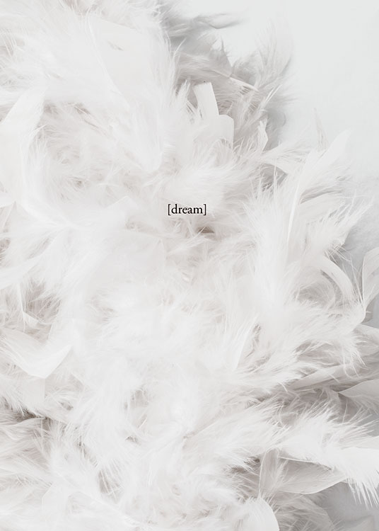 – Fotografie von vielen weißen Federn, in der Mitte das Wort „Dream“