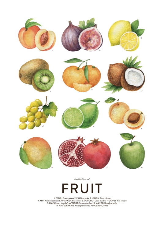 Fruit, Poster / Küchenposter bei Desenio AB (8590)