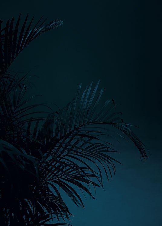 Black Palm, Poster / Fotografien bei Desenio AB (8618)