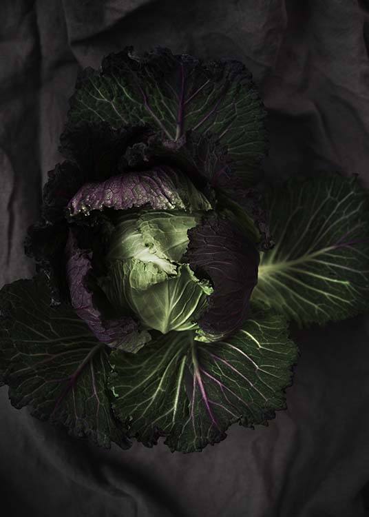 Cabbage Poster / Fotografien bei Desenio AB (8847)