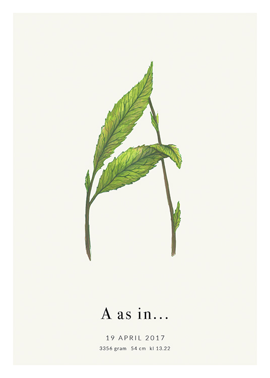  – Pflanzenillustration in der Form des Buchstabens A mit Text am unteren Rand